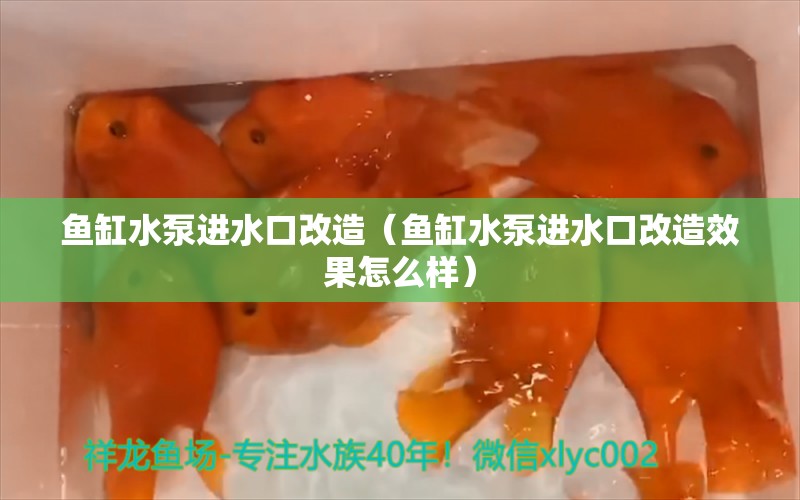 魚缸水泵進水口改造（魚缸水泵進水口改造效果怎么樣）