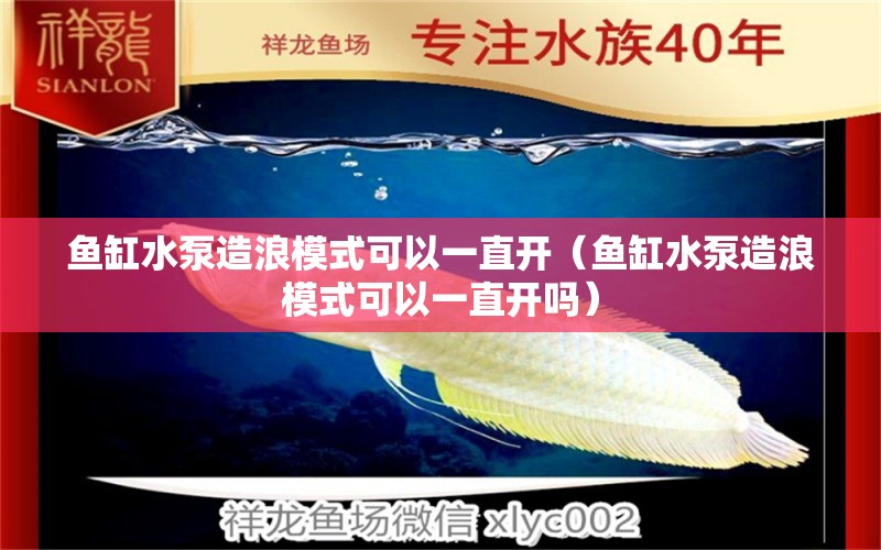 魚(yú)缸水泵造浪模式可以一直開(kāi)（魚(yú)缸水泵造浪模式可以一直開(kāi)嗎） 魚(yú)缸水泵