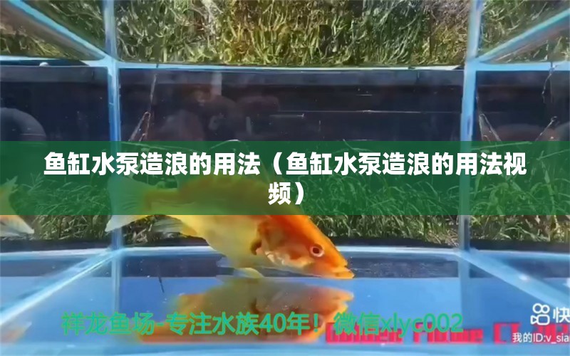 魚(yú)缸水泵造浪的用法（魚(yú)缸水泵造浪的用法視頻） 魚(yú)缸水泵