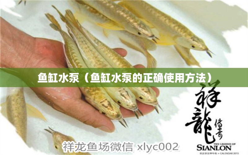 魚缸水泵（魚缸水泵的正確使用方法） 魚缸水泵