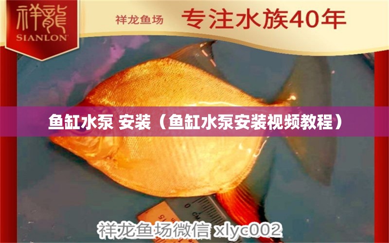 魚缸水泵 安裝（魚缸水泵安裝視頻教程）