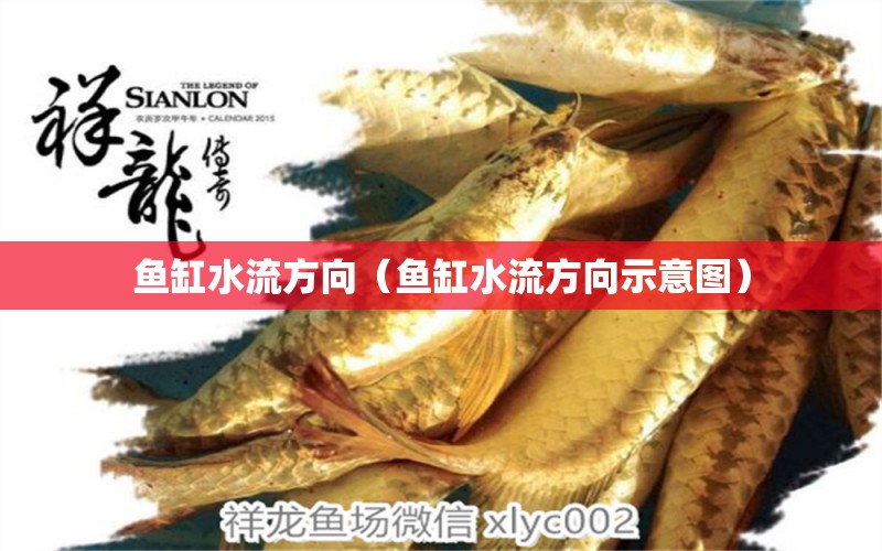 魚缸水流方向（魚缸水流方向示意圖） 祥龍水族醫(yī)院