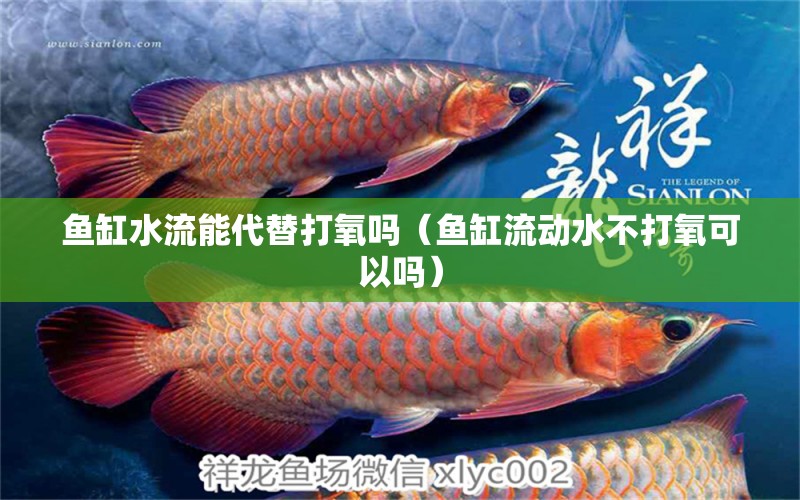 魚缸水流能代替打氧嗎（魚缸流動水不打氧可以嗎）