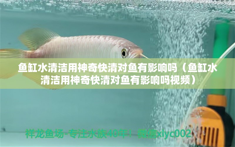 魚缸水清潔用神奇快清對(duì)魚有影響嗎（魚缸水清潔用神奇快清對(duì)魚有影響嗎視頻） 觀賞魚市場（混養(yǎng)魚）