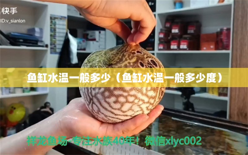 魚缸水溫一般多少（魚缸水溫一般多少度）