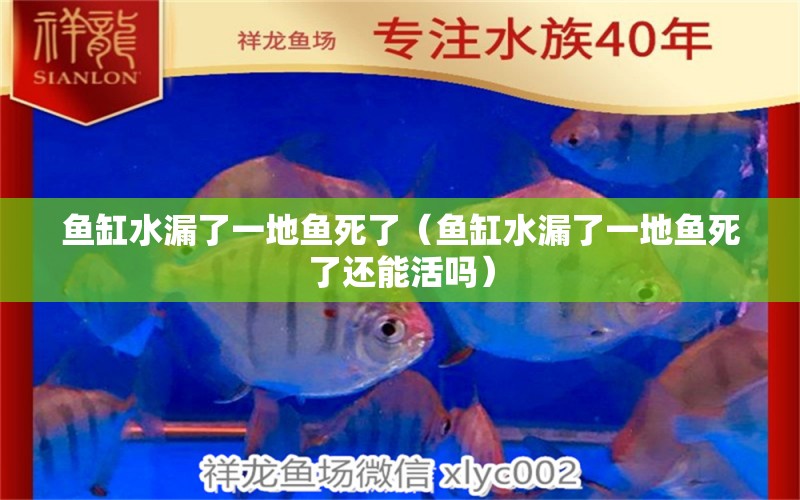 魚缸水漏了一地魚死了（魚缸水漏了一地魚死了還能活嗎）