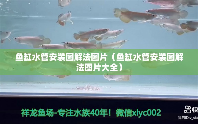 魚缸水管安裝圖解法圖片（魚缸水管安裝圖解法圖片大全）