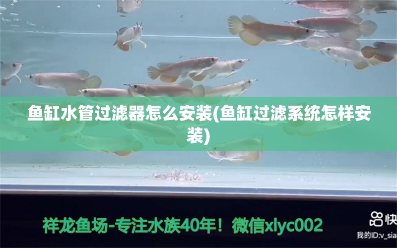 魚缸水管過濾器怎么安裝(魚缸過濾系統(tǒng)怎樣安裝)