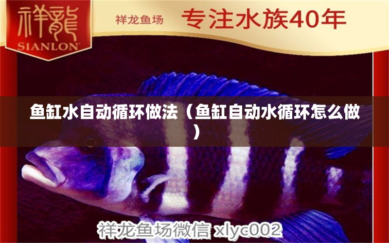 魚缸水自動(dòng)循環(huán)做法（魚缸自動(dòng)水循環(huán)怎么做） 其他品牌魚缸