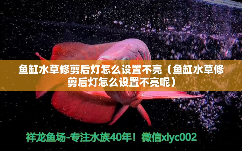 魚(yú)缸水草修剪后燈怎么設(shè)置不亮（魚(yú)缸水草修剪后燈怎么設(shè)置不亮呢）