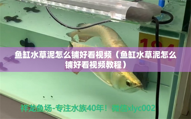 魚缸水草泥怎么鋪好看視頻（魚缸水草泥怎么鋪好看視頻教程）