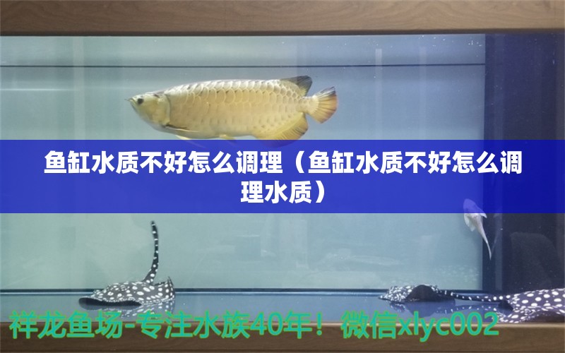 魚缸水質(zhì)不好怎么調(diào)理（魚缸水質(zhì)不好怎么調(diào)理水質(zhì)）