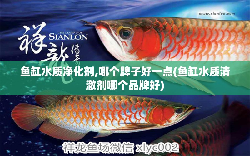 魚缸水質(zhì)凈化劑,哪個(gè)牌子好一點(diǎn)(魚缸水質(zhì)清澈劑哪個(gè)品牌好)