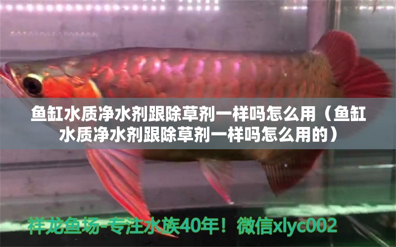 魚缸水質(zhì)凈水劑跟除草劑一樣嗎怎么用（魚缸水質(zhì)凈水劑跟除草劑一樣嗎怎么用的）