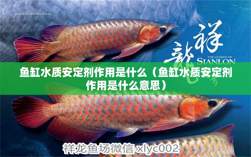 魚(yú)缸水質(zhì)安定劑作用是什么（魚(yú)缸水質(zhì)安定劑作用是什么意思）