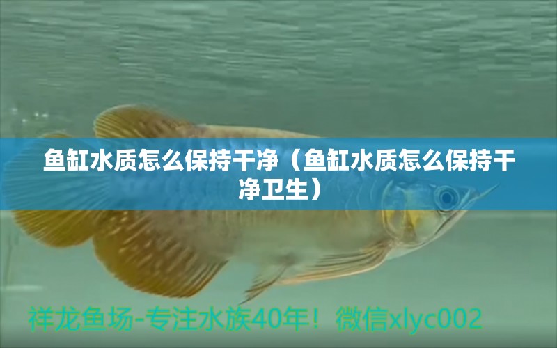 魚(yú)缸水質(zhì)怎么保持干凈（魚(yú)缸水質(zhì)怎么保持干凈衛(wèi)生）