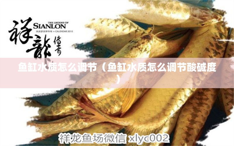 魚缸水質(zhì)怎么調(diào)節(jié)（魚缸水質(zhì)怎么調(diào)節(jié)酸堿度）