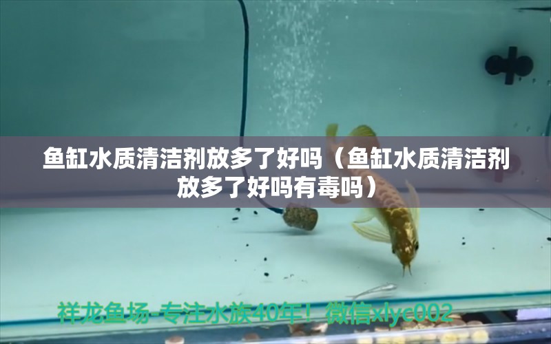 魚缸水質(zhì)清潔劑放多了好嗎（魚缸水質(zhì)清潔劑放多了好嗎有毒嗎） 祥龍水族醫(yī)院