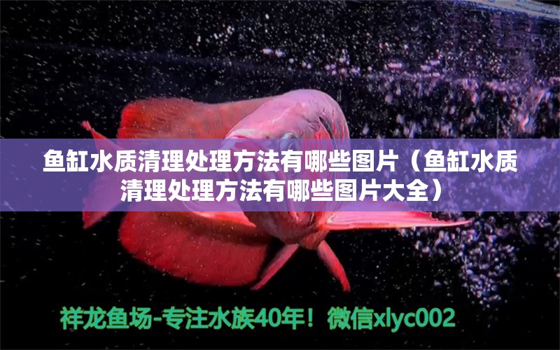 魚缸水質(zhì)清理處理方法有哪些圖片（魚缸水質(zhì)清理處理方法有哪些圖片大全）