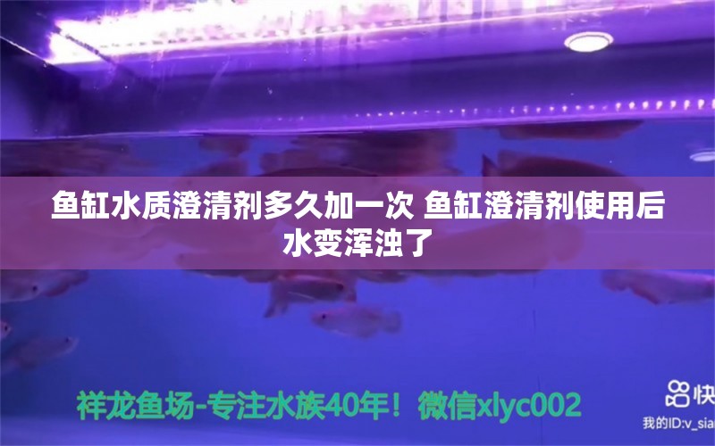 魚缸水質(zhì)澄清劑多久加一次 魚缸澄清劑使用后水變渾濁了 廣州祥龍國際水族貿(mào)易 第1張