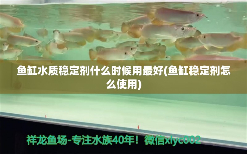 魚缸水質(zhì)穩(wěn)定劑什么時(shí)候用最好(魚缸穩(wěn)定劑怎么使用) 可麗愛魚缸