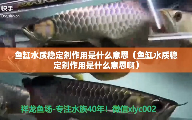 魚缸水質(zhì)穩(wěn)定劑作用是什么意思（魚缸水質(zhì)穩(wěn)定劑作用是什么意思?。? title=