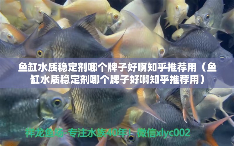 魚缸水質(zhì)穩(wěn)定劑哪個(gè)牌子好啊知乎推薦用（魚缸水質(zhì)穩(wěn)定劑哪個(gè)牌子好啊知乎推薦用）