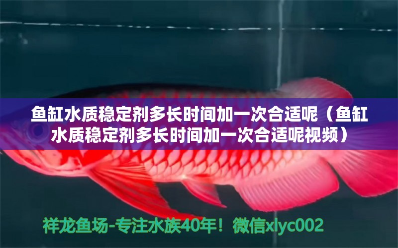 魚缸水質(zhì)穩(wěn)定劑多長(zhǎng)時(shí)間加一次合適呢（魚缸水質(zhì)穩(wěn)定劑多長(zhǎng)時(shí)間加一次合適呢視頻） 廣州觀賞魚批發(fā)市場(chǎng)