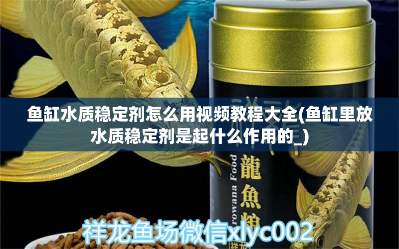 魚缸水質(zhì)穩(wěn)定劑怎么用視頻教程大全(魚缸里放水質(zhì)穩(wěn)定劑是起什么作用的_) 白子銀龍苗（黃化銀龍苗）