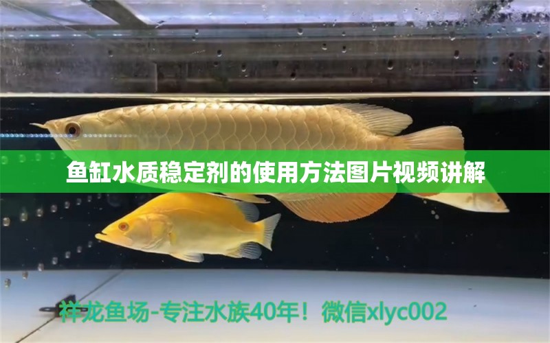 魚缸水質(zhì)穩(wěn)定劑的使用方法圖片視頻講解