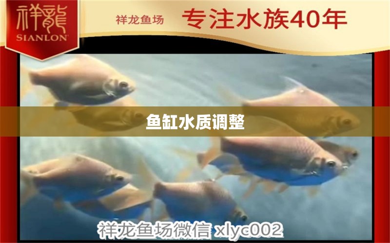 魚缸水質(zhì)調(diào)整