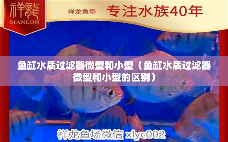 魚缸水質(zhì)過(guò)濾器微型和小型（魚缸水質(zhì)過(guò)濾器微型和小型的區(qū)別） 祥龍水族醫(yī)院