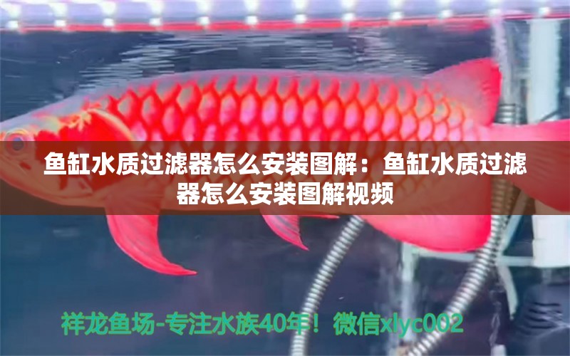 魚缸水質(zhì)過濾器怎么安裝圖解：魚缸水質(zhì)過濾器怎么安裝圖解視頻