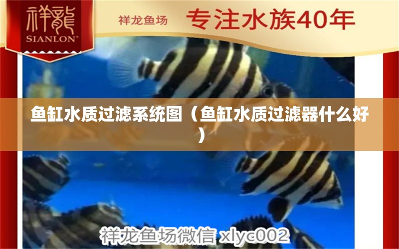 魚缸水質(zhì)過濾系統(tǒng)圖（魚缸水質(zhì)過濾器什么好） 廣州觀賞魚批發(fā)市場