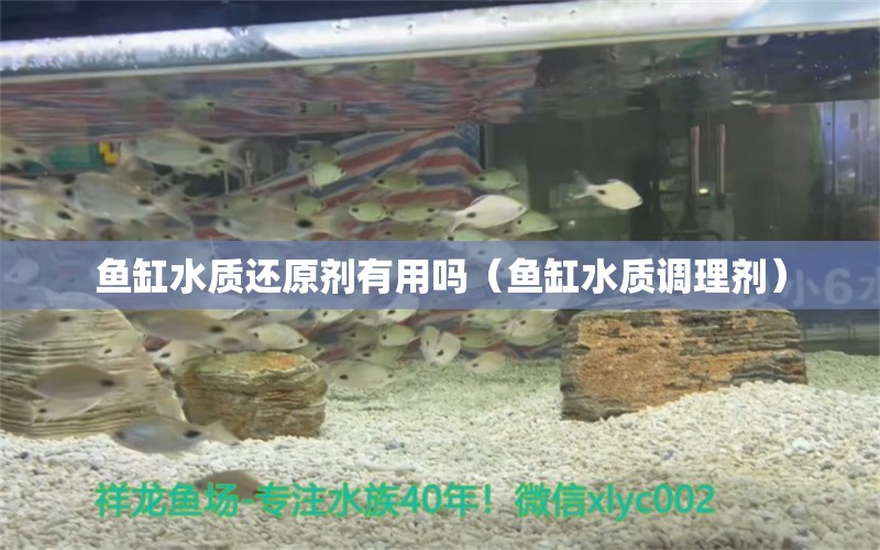 魚缸水質還原劑有用嗎（魚缸水質調理劑） 肥料