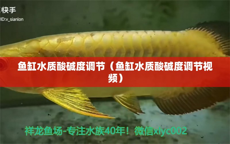 魚缸水質(zhì)酸堿度調(diào)節(jié)（魚缸水質(zhì)酸堿度調(diào)節(jié)視頻） 祥龍傳奇品牌魚缸