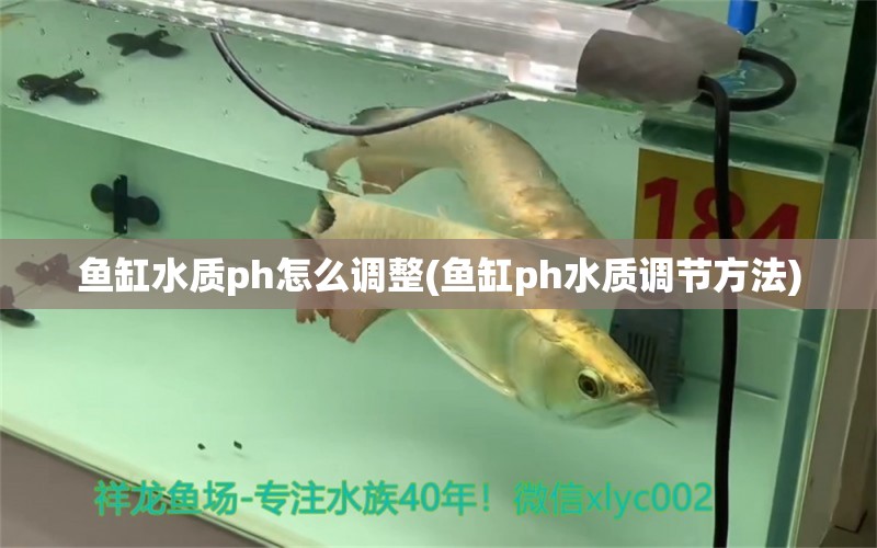 魚缸水質(zhì)ph怎么調(diào)整(魚缸ph水質(zhì)調(diào)節(jié)方法) 其它水族用具設(shè)備