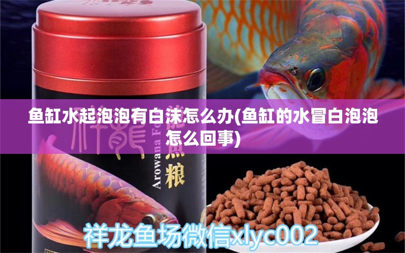 魚缸水起泡泡有白沫怎么辦(魚缸的水冒白泡泡怎么回事) 觀賞魚進(jìn)出口