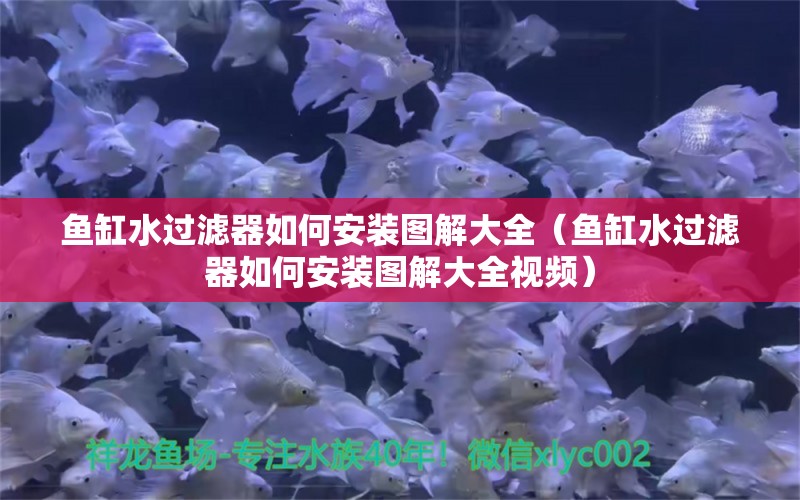 魚缸水過濾器如何安裝圖解大全（魚缸水過濾器如何安裝圖解大全視頻）