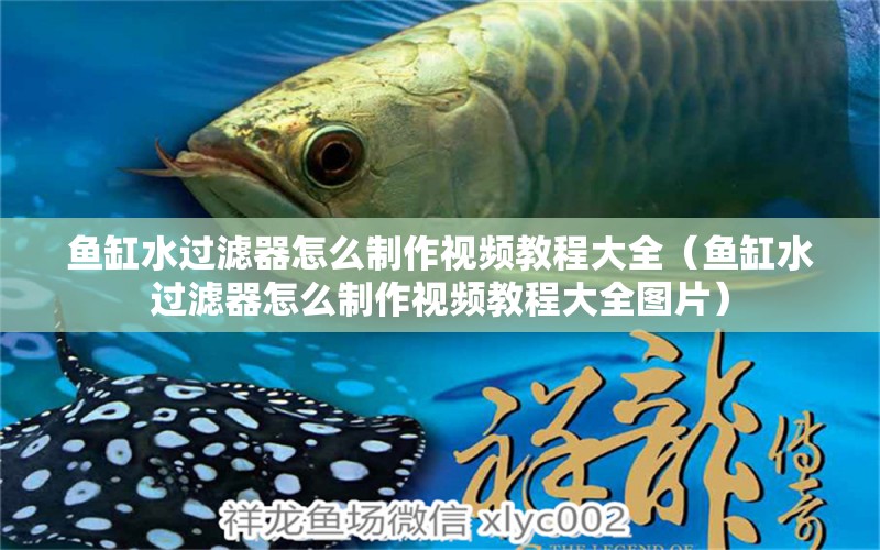 魚缸水過濾器怎么制作視頻教程大全（魚缸水過濾器怎么制作視頻教程大全圖片）