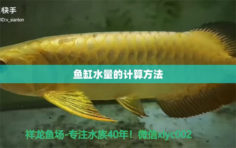 魚缸水量的計(jì)算方法 養(yǎng)魚知識(shí)