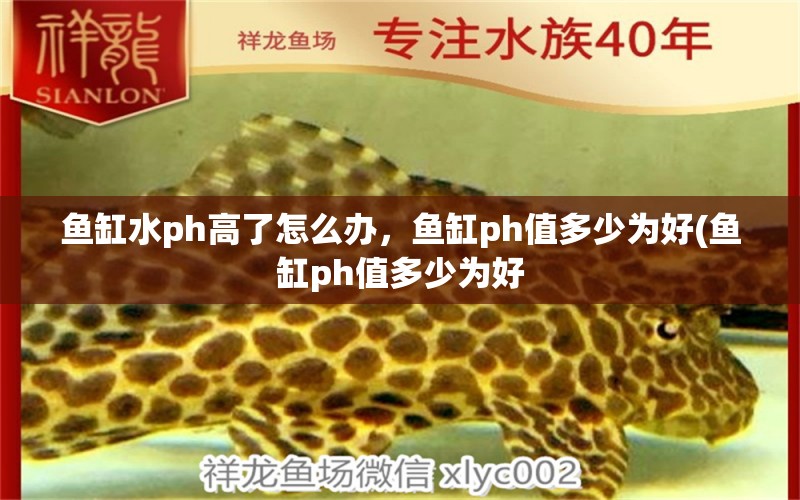 魚缸水ph高了怎么辦，魚缸ph值多少為好(魚缸ph值多少為好 養(yǎng)魚知識