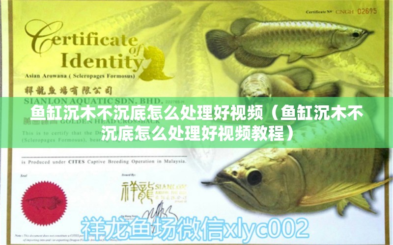 魚(yú)缸沉木不沉底怎么處理好視頻（魚(yú)缸沉木不沉底怎么處理好視頻教程） 其他品牌魚(yú)缸