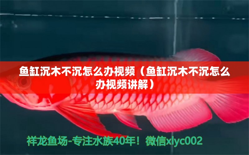 魚(yú)缸沉木不沉怎么辦視頻（魚(yú)缸沉木不沉怎么辦視頻講解）