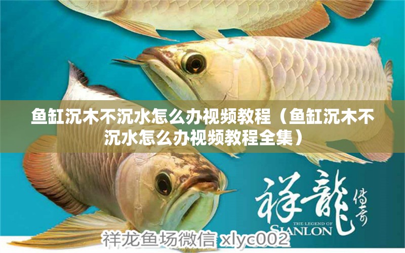 魚缸沉木不沉水怎么辦視頻教程（魚缸沉木不沉水怎么辦視頻教程全集） 其他品牌魚缸