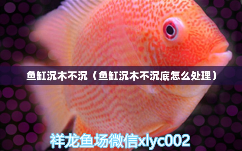 魚缸沉木不沉（魚缸沉木不沉底怎么處理）