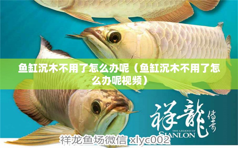 魚缸沉木不用了怎么辦呢（魚缸沉木不用了怎么辦呢視頻） 其他品牌魚缸