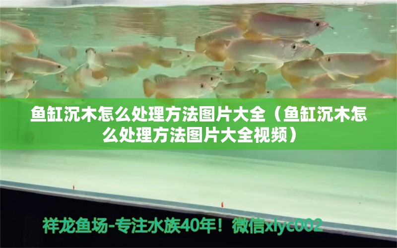 魚(yú)缸沉木怎么處理方法圖片大全（魚(yú)缸沉木怎么處理方法圖片大全視頻）