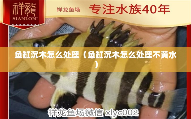 魚(yú)缸沉木怎么處理（魚(yú)缸沉木怎么處理不黃水） 其他品牌魚(yú)缸