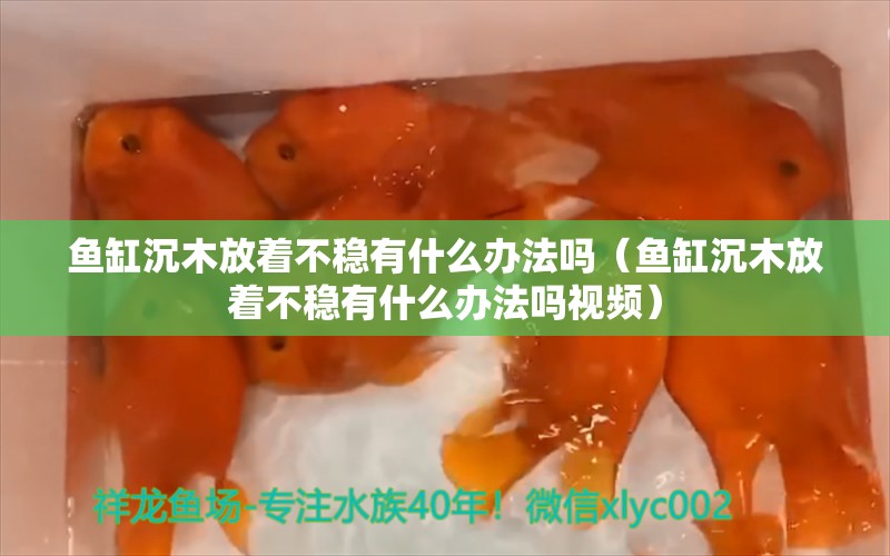 魚缸沉木放著不穩(wěn)有什么辦法嗎（魚缸沉木放著不穩(wěn)有什么辦法嗎視頻）